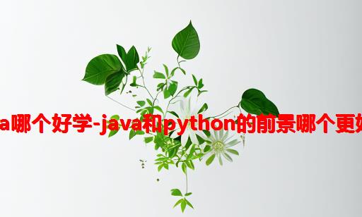 python和java哪个好学-Java和Python的前景哪个更好 学习难度呢